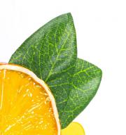 Grāmatzīme ar jautru Fruitmark Orange dizainu
