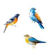Stikki Marks Winter Birds Pašlīmējoša atkārtoti lietojama grāmatzīme